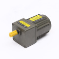 15W 50/60Hz Reversible Gear Motor with Gearbox